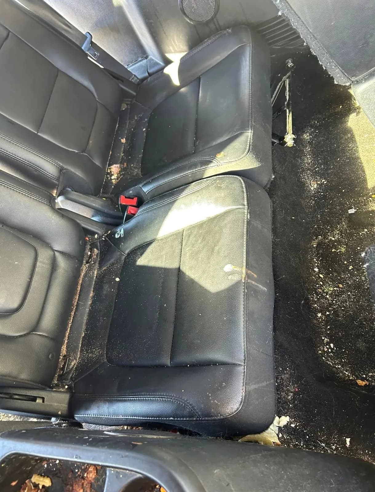 Rear leather seats with dirt before an interior detail
